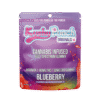 RECOVER 2:1 BLUEBERRY