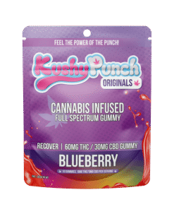RECOVER 2:1 BLUEBERRY